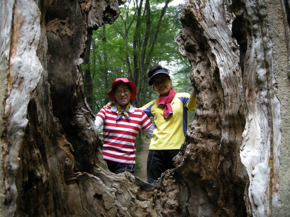 은빛사역자오대산등산 - 20120707000858.JPG