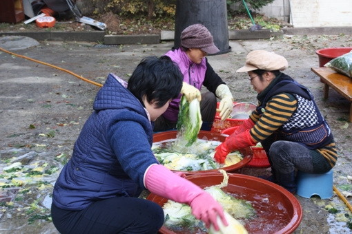 김장(2010년 11월 13일 토요일) - 20101124161702.jpg