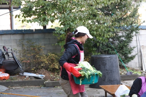 김장(2010) - 20101124162511.jpg