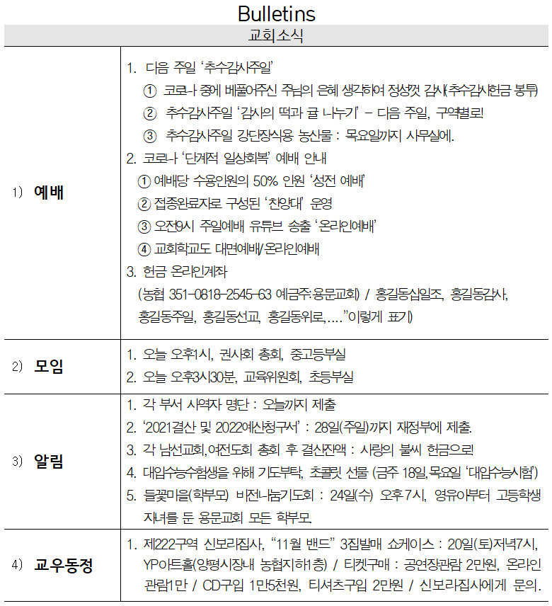 11월 14일 교회소식 - 교회소식.png