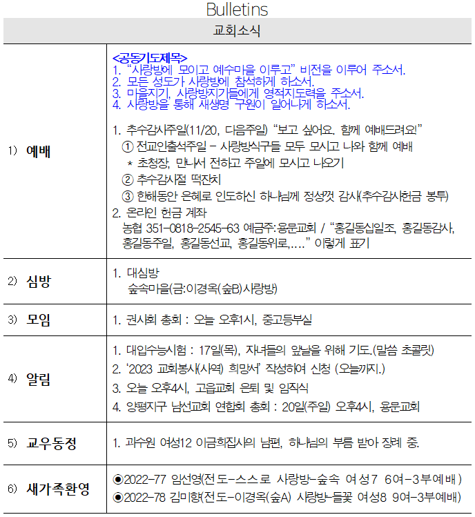 11월 13일 교회소식 - 교회소식.png