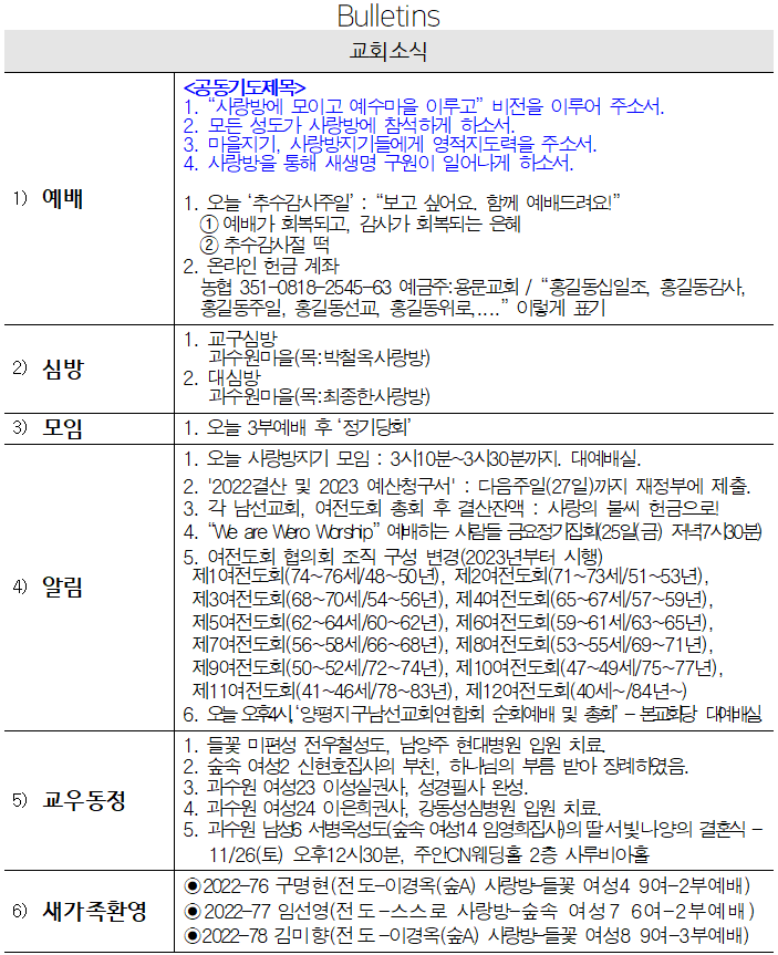 11월 20일 교회소식 - 교회소식.png