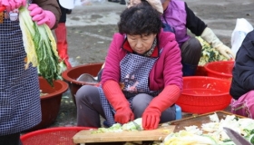김장(2010년 11월 13일 토요일)
