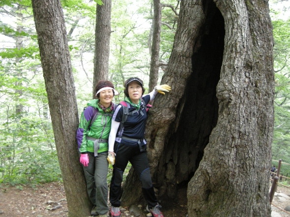 은빛대학사역자오대산등산 - 20120706234314.JPG