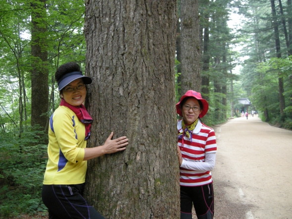 은빛사역자오대산등산 - 20120707000155.JPG