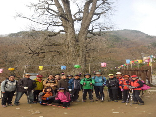 용문산 산행 - 20130409180904.JPG