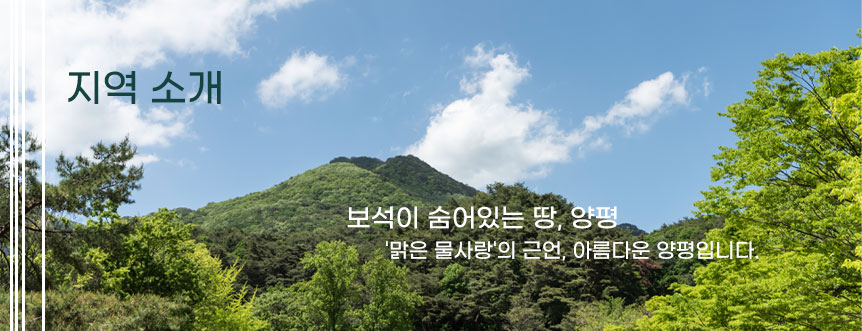 차량 안내