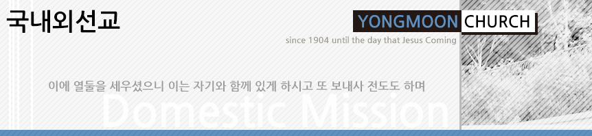 국내선교